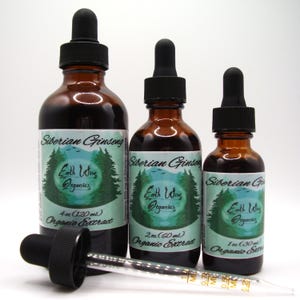 Siberian Ginseng Tincture • Organic Herbal Liquid Extract • Small Batch • Plant-Based