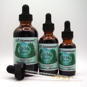 Wormwood Tincture • Organic Herbal Liquid Extract • Small Batch • Plant-Based