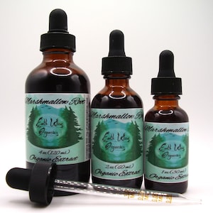 Marshmallow Root Tincture • Organic Herbal Liquid Extract • Small Batch • Plant-Based