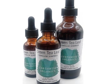 Green Tea Organic Tincture • Handmade Botanical Extract • Crafted in North Carolina