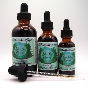 Mullein Tincture • Organic Herbal Liquid Extract • Small Batch • Plant-Based