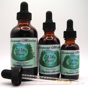Mistletoe Tincture • From Certified Organic Herbs • Small Batch • Plant-Based