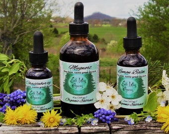 Wormwood Extract Tincture 500 mg from Certified Organic Wormwood