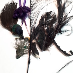 May include: Assortment of decorative feathers in various colors. Includes black, brown, purple, and green feathers. Some feathers have iridescent qualities. Ideal for crafting or costume design.