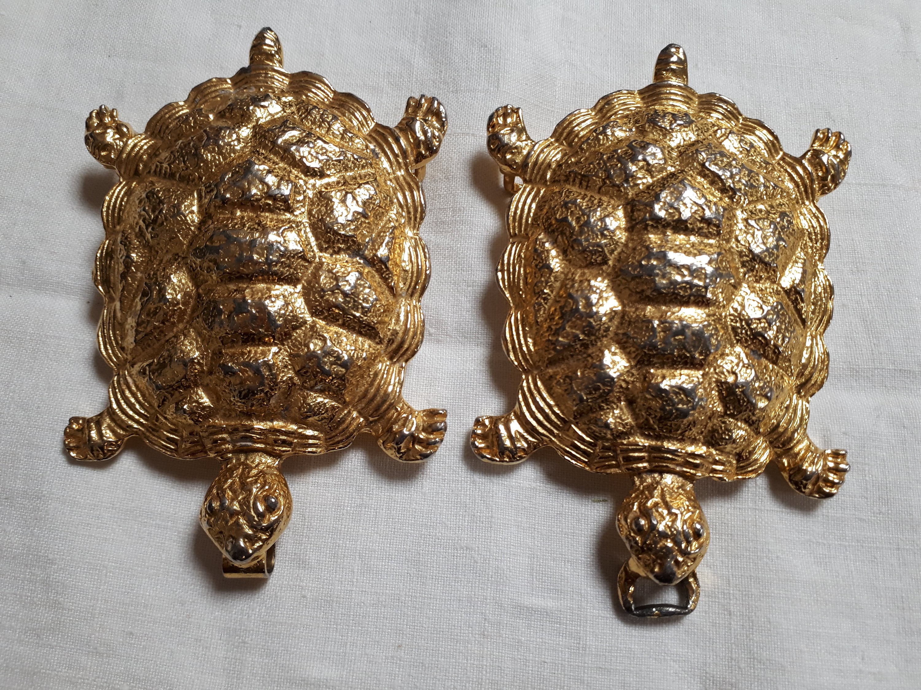 TURTLES - Mimi Di N - Gigantic Belt Buckle, Featuring  display picture 1
