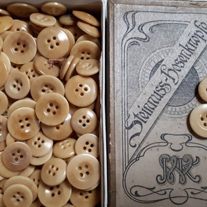 ANTIQUE BUTTONS,  art nouveau, original box, tagua or vegetable ivory, ivory nut, organic, carved buttons