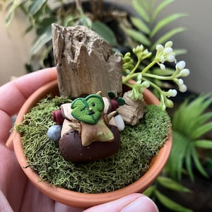 Terrarium ouvert Korok fait main