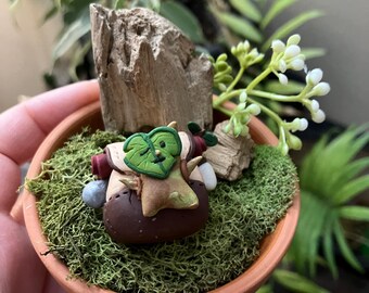 Handmade Korok Open Terrarium