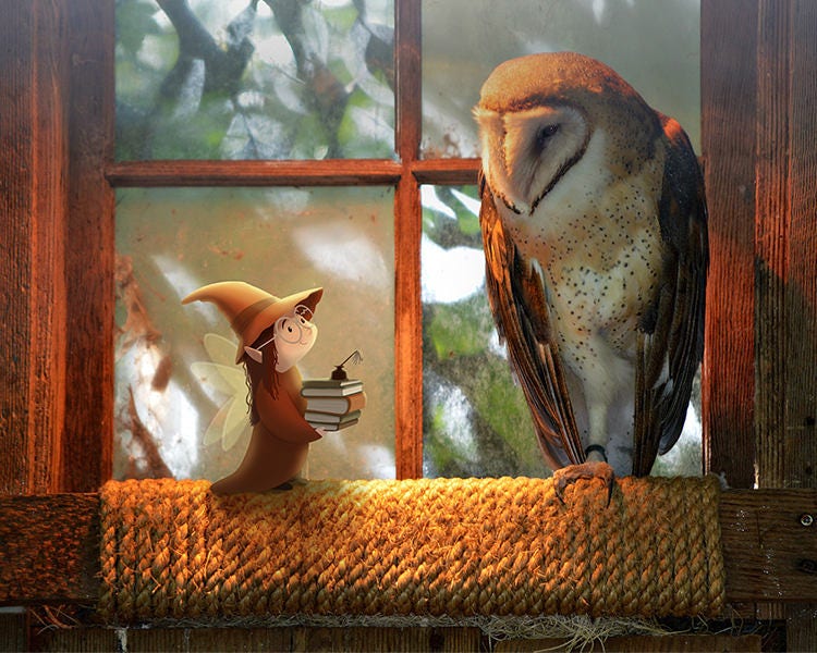 Book Fairy with Owl, 8x10