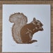 see more listings in the Woodland Wildlife Prints section