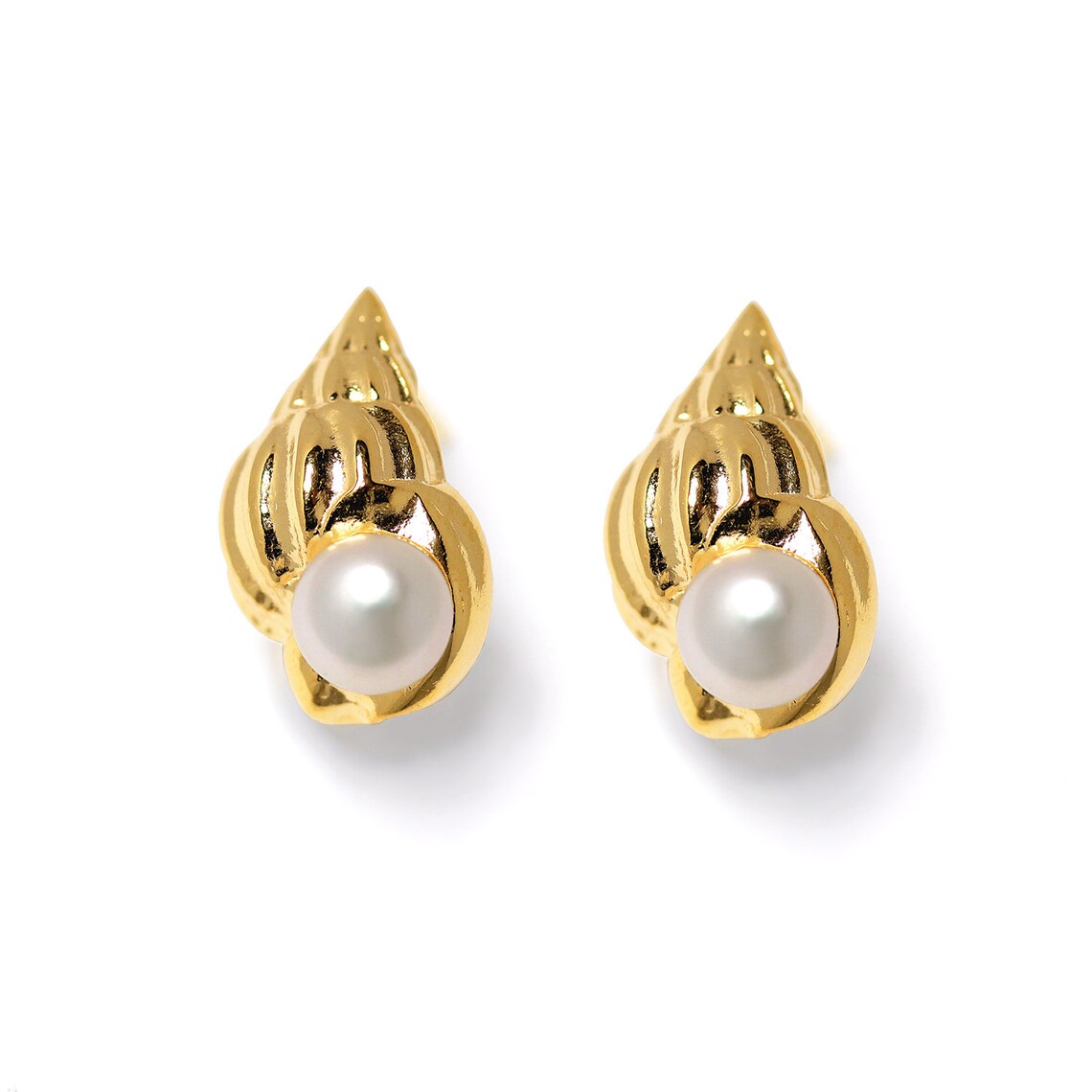 SHELL Earrings Gold Pearl Earrings Seashell Earrings Etsy