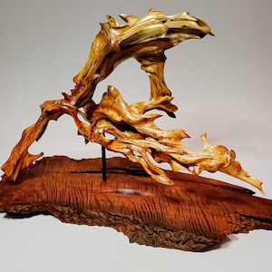 Driftwood Sculpture/Wood Sculpture/Driftwood Art/Fine Art/wood Art/Sculpture/Home Decor/Rustic Art/Nature Art/Wood Decor/Driftwood