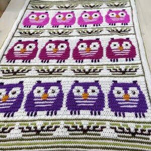 May include: A handmade crochet blanket featuring rows of colorful owls in shades of purple, pink, and white. The owls have orange beaks and large eyes. The blanket has a white background with green and brown decorative borders.