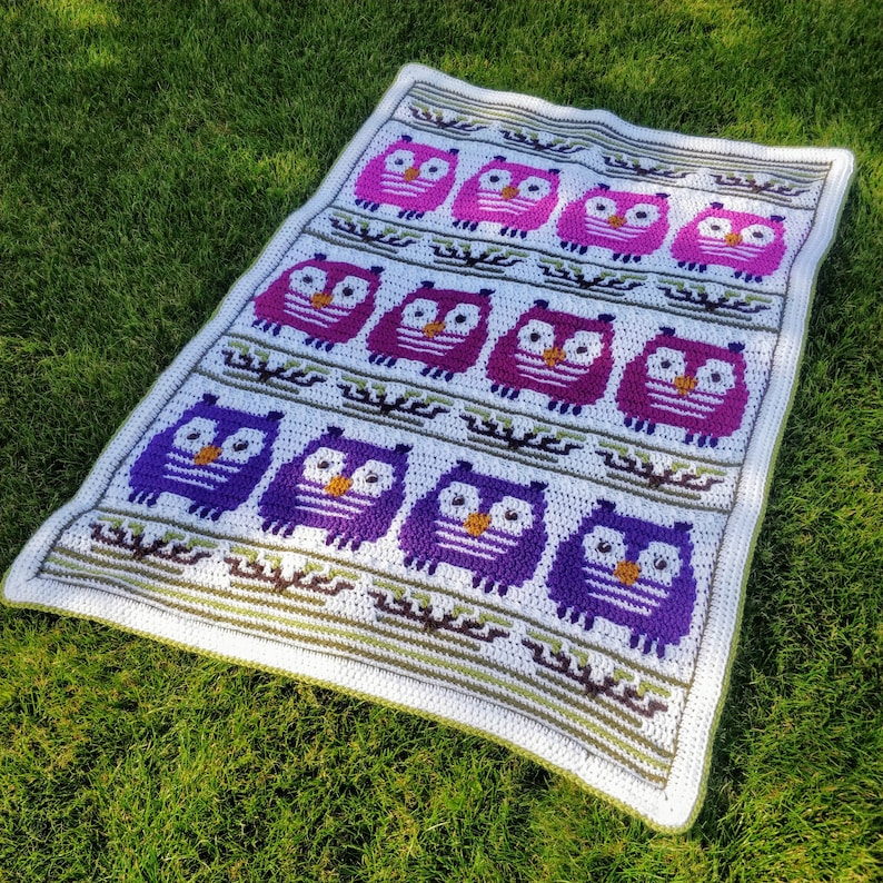 May include: A handmade crochet blanket featuring a repeating pattern of colorful owls. The owls are in shades of purple, pink, and magenta, with yellow eyes, set against a white background. The blanket has a white border and is displayed on green grass.