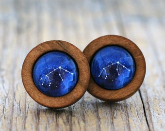 Aquarius Earrings, Aquarius Constellation, Zodiac Earrings, Aquarius Zodiac Earrings, Constellation Earrings, Wooden Earrings, Space Studs