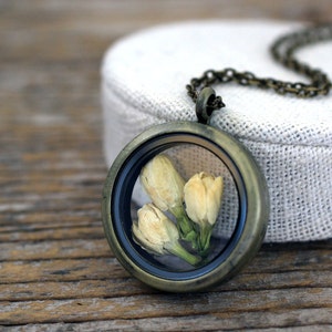Echte Jasmin Halskette, Jasmin Schmuck, echte Jasmin, getrocknete Jasmin Medaillon, Terrarium Medaillon, getrocknete Blumen Schmuck, echte Blumen Medaillon