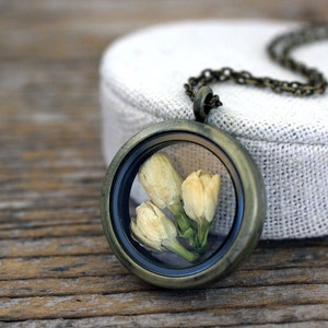 Jasmine Necklace, Jasmine Jewelry, Real Jasmine, Dried Jasmine Locket, Terrarium Locket, Dried Flowers Jewelry, Real Flowers Locket image 1