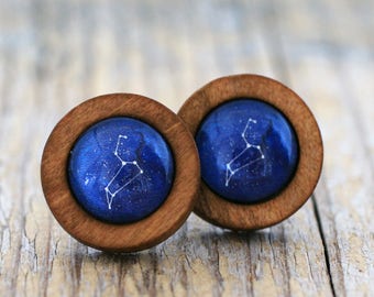 Leo Earrings, Leo Constellation, Zodiac Earrings, Leo Zodiac Earrings, Constellation Earrings, Wooden Earrings, Celestial Zodiac, Space Stud