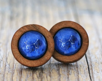 Sagittarius Earrings, Sagittarius Constellation, Zodiac Earrings, Sagittarius Zodiac Earrings, Constellation Earrings, Wooden Earrings, Star