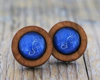 Scorpio Earrings, Scorpio Constellation, Zodiac Earrings, Scorpio Zodiac Earrings, Constellation Earrings, Wooden Earrings, Celestial Zodiac