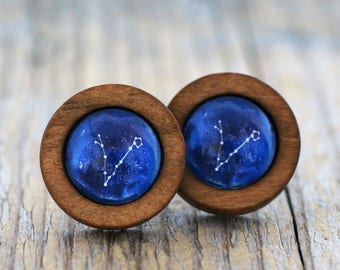 Pisces Earrings, Pisces Constellation, Zodiac Earrings, Pisces Zodiac Earrings, Constellation Earrings, Wooden Earrings, Space Earrings