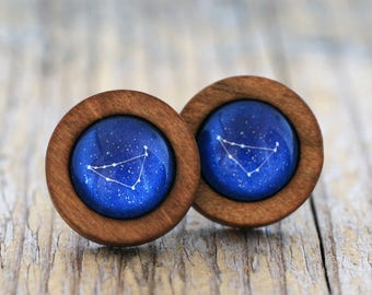 Capricorn Earrings, Capricorn Constellation, Zodiac Earrings, Capricorn Zodiac Earrings, Constellation Earrings, Wooden Earrings, Celestial