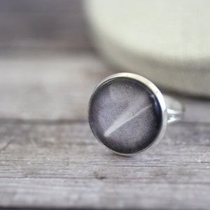 Komeet Ring, Halley's Comet Ring, Ring van het zonnestelsel, Halley's Comet, komeet, meteorenregen, planetoïde, meteoriet, Stardust, ruimte, astronomie