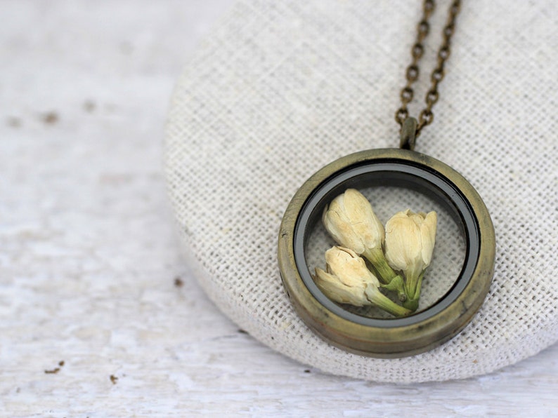 Jasmine Necklace, Jasmine Jewelry, Real Jasmine, Dried Jasmine Locket, Terrarium Locket, Dried Flowers Jewelry, Real Flowers Locket image 3