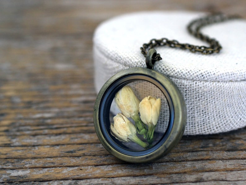 Jasmine Necklace, Jasmine Jewelry, Real Jasmine, Dried Jasmine Locket, Terrarium Locket, Dried Flowers Jewelry, Real Flowers Locket image 1