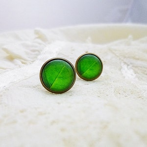 Leaf Earrings, Green Leaf Studs, Spring Leaf Earrings, Nature Studs, Spring Studs, Summer Earrings, Tree Earrings, Nature, Floral Earrings