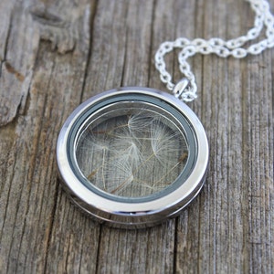 Real Dandelion, Dandelion Seeds, Dandelion Necklace, Dandelion Locket, Real Flowers Necklace, Dried Flowers, Dried Flowers Necklace, Locket image 5