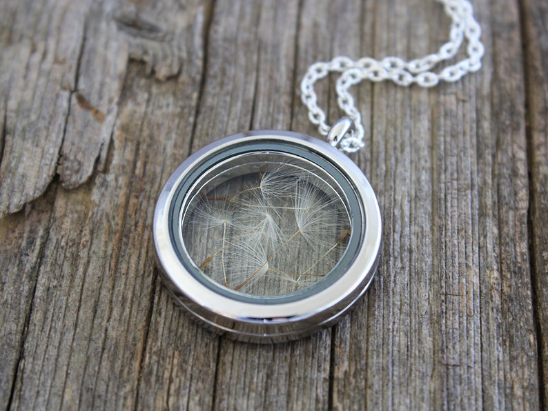 Real Dandelion, Dandelion Seeds, Dandelion Necklace, Dandelion Locket, Real Flowers Necklace, Dried Flowers, Dried Flowers Necklace, Locket image 5