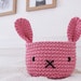 see more listings in the CROCHET BASKETS section