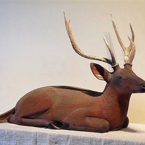 May include: A brown, wooden deer sculpture with large antlers. The deer is lying down with its head turned to the side. The sculpture is made to look realistic.