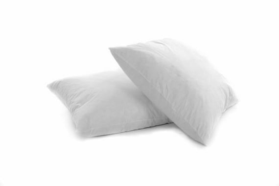 duck feather cushion