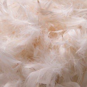 K&ouml;nnte beinhalten: Nahaufnahme eines Stapels weicher, wei&szlig;er Federn. Die Federn sind leicht und flauschig und erzeugen eine weiche, zarte Textur.