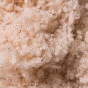 K&ouml;nnte beinhalten: Nahaufnahme eines Stapels wei&szlig;er Wollfasern. Die Wolle ist weich und flauschig und scheint nat&uuml;rlich zu sein.
