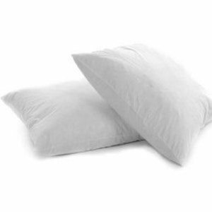 12" x 12" (30cm x 30cm) Duck Feather Cushion Pad