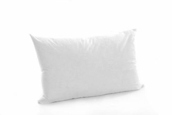 DECORATIVE DUCK FEATHER THROW/OBLONG PILLOWS, SET of 2, WHITE