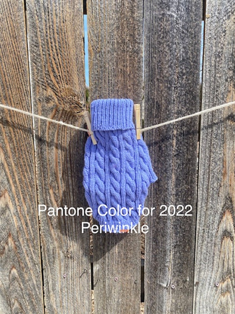 May include: A knitted purple sweater for a pet, hanging on a wooden fence with clothes pegs. The text "Pantone Color for 2022 Periwinkle" is below the sweater.