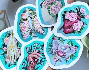 human anatomy stickers, anatomy and flowers, organ stickers, doctor cardiologist gift, bone skull sticker, brain sticker, heart hand anatomy