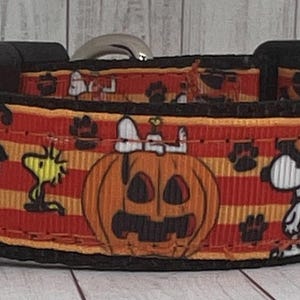 Dog Collar and Leash (sold separately) Snoopy On Pumpkin. Woodstock. Beagle. Peanuts. Halloween.