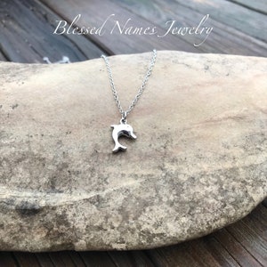 Dolphin necklace, solid stainless steel, dolphin jewelry, Dolphin lover gift