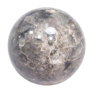 NV Fossil Coral 54mm Interior Decor Sphere for Home or Office 6304
