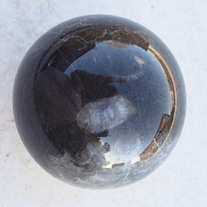 Nevada Fossil Stone 50mm Sphere for Collection home Decor or Personal Gift 5202