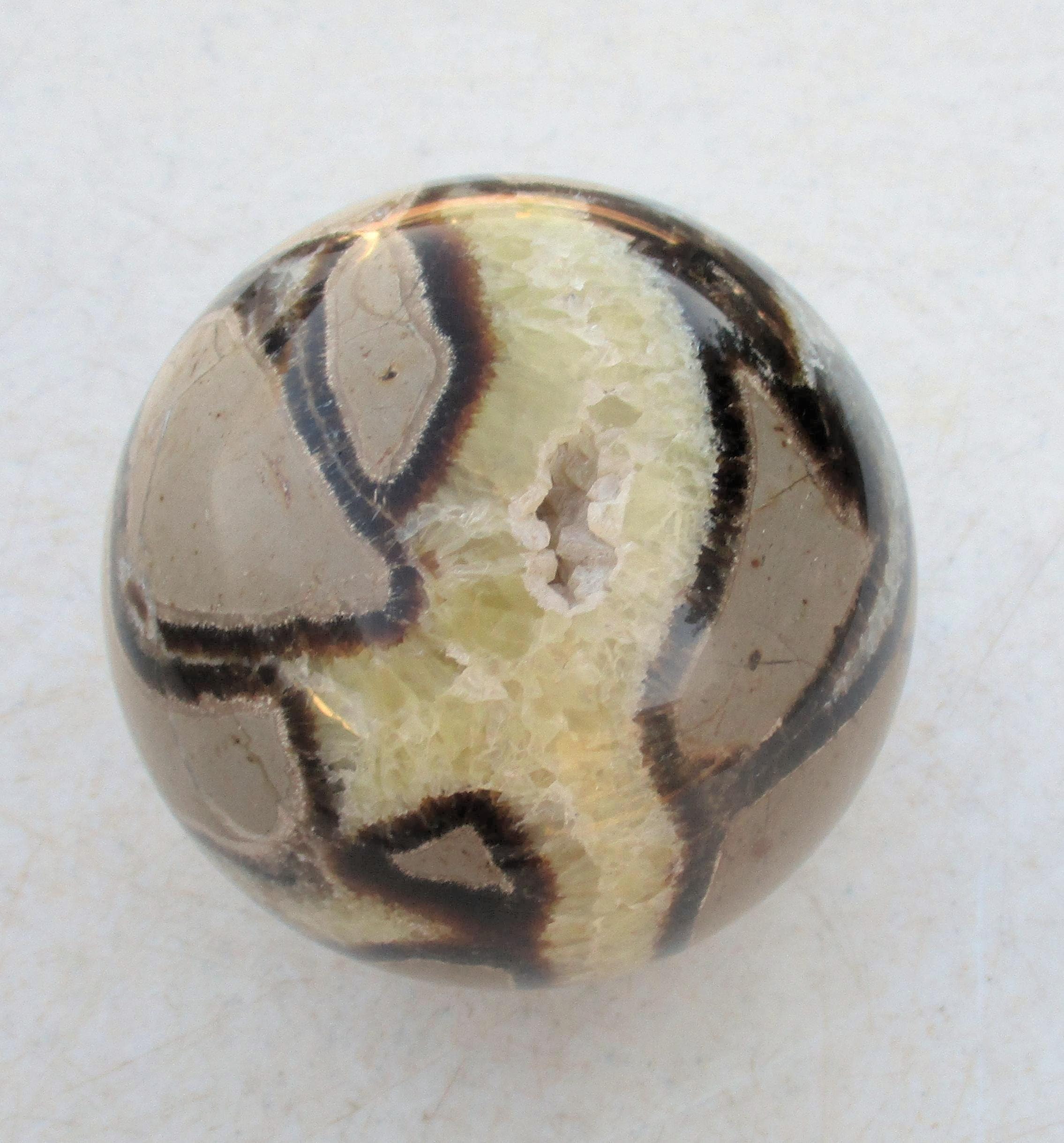 大型マダガスカル セプタリアン ノジュール 86 mm コレクターズ