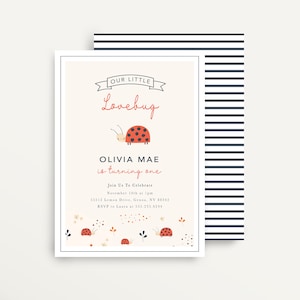 Ladybug Invitation | Ladybug Birthday Invitation | Ladybug Party Invite | Little Lady | Summer Birthday | Spring Birthday | Lady bugs