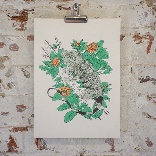 Geiger Tree Iguana - Small Risograph Art Print - 11x8 inch