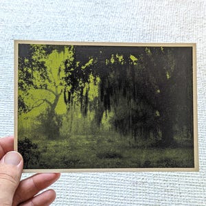 May include: A postcard featuring a green and black landscape print. The image depicts a forest scene with trees and foliage. The postcard has a beige border and is held by a hand.