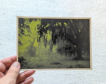 Brazos Bend State Park - screen printed post card mini art piece